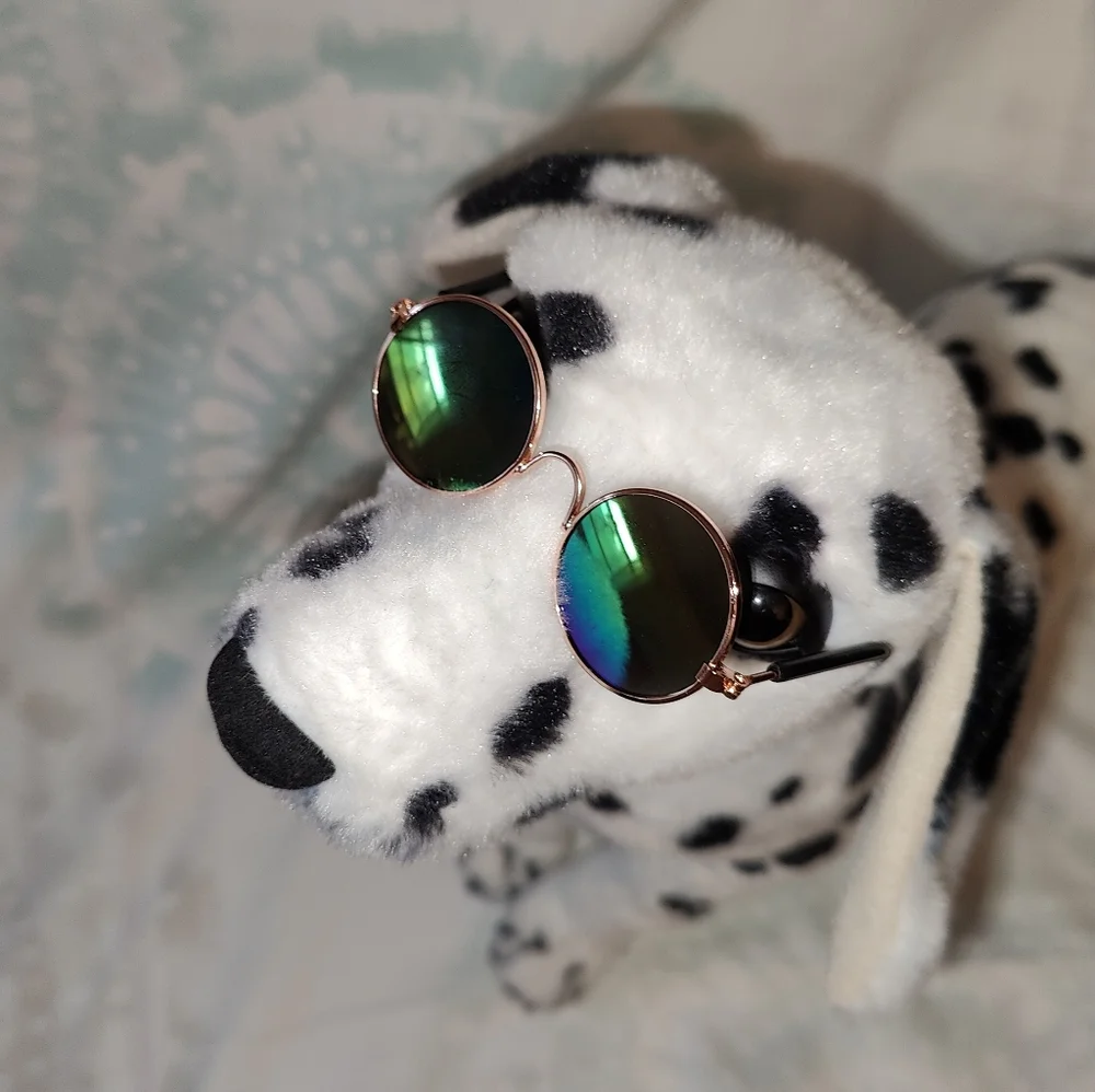 🍄Gold Wireframe Round Retro Cat / Pet Sunglasses